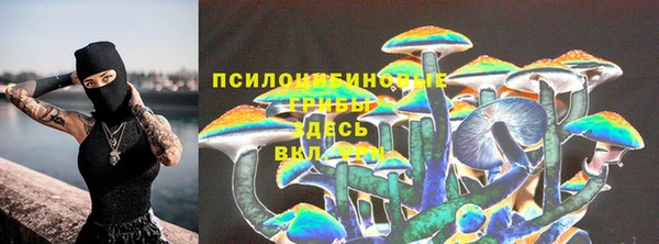 герыч Вяземский