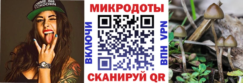 Купить  Красный Сулин  Псилоцибиновые грибы ЛСД 